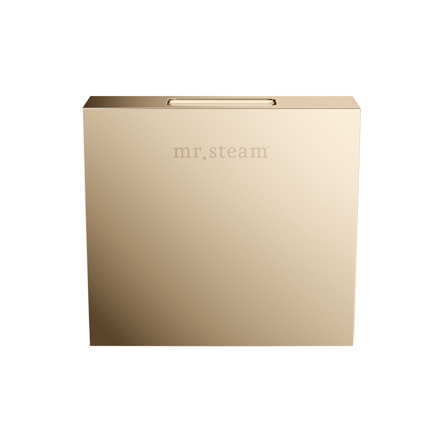 Mr. Steam 104516 Designer 3 in. Steamhead with AromaTherapy Reservoir in Square Brushed Bronze