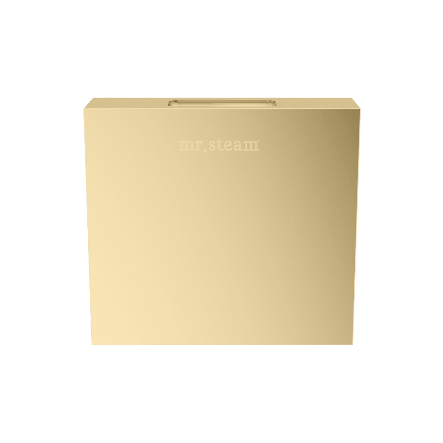 Mr. Steam 104516 Designer 3 in. Steamhead with AromaTherapy Reservoir in Square Brushed Bronze