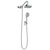 Pulse PLS-1053 Oasis ShowerSpa Brass Shower System