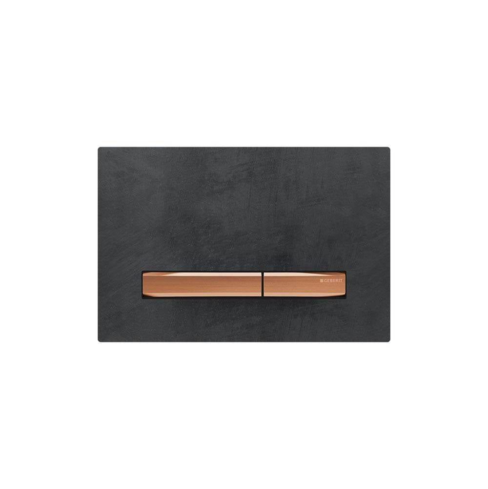 Geberit 115-670 Actuator Plate Sigma50 For Dual Flush