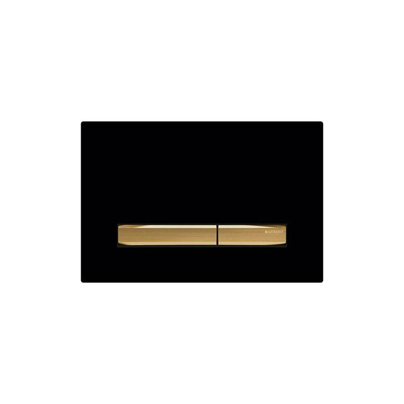 Geberit 115-672 Actuator Plate Sigma50 For Dual Flush