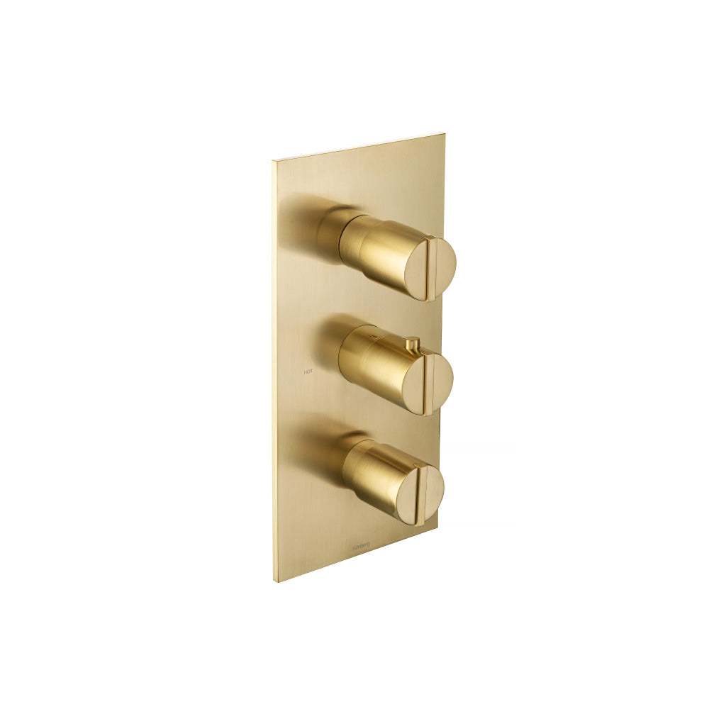 Flusso 145.4501 3/4" Thermostatic Valve With Trim