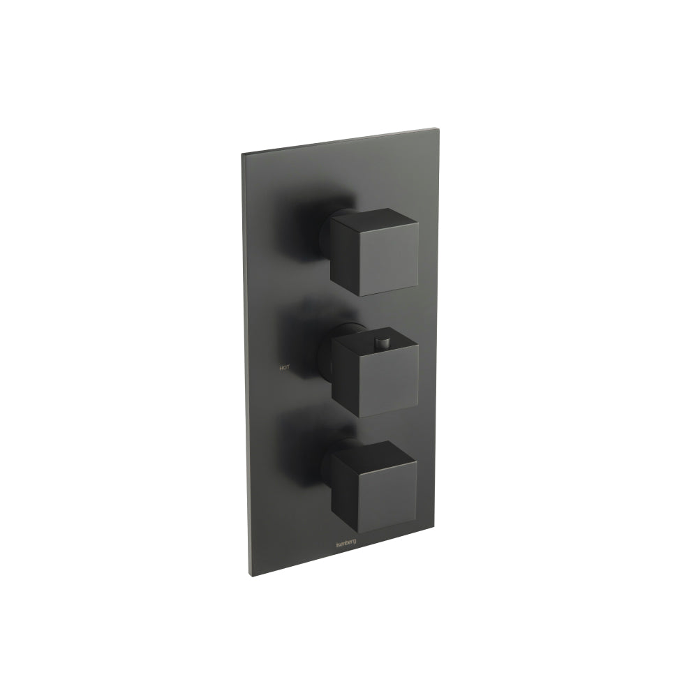 Flusso Serie 160 160.4401 3/4" Thermostatic Valve and Trim - 2 Outputs