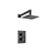 Flusso Serie 160 160.7000 Single Output Shower Set With Shower Head And Arm