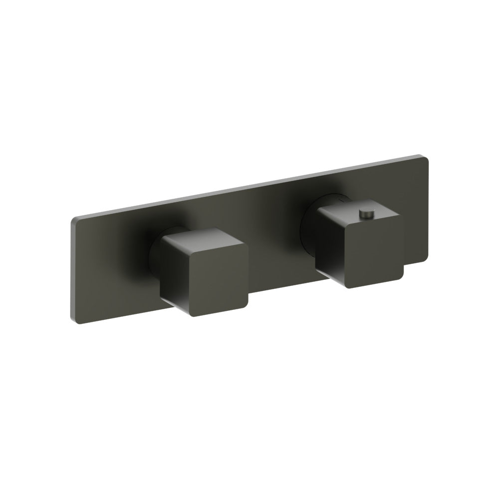 Flusso Serie 196 196.2693T Trim For Thermostatic Valve