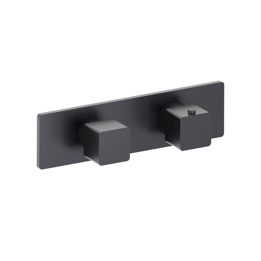 Flusso Serie 196 196.2693T Trim For Thermostatic Valve
