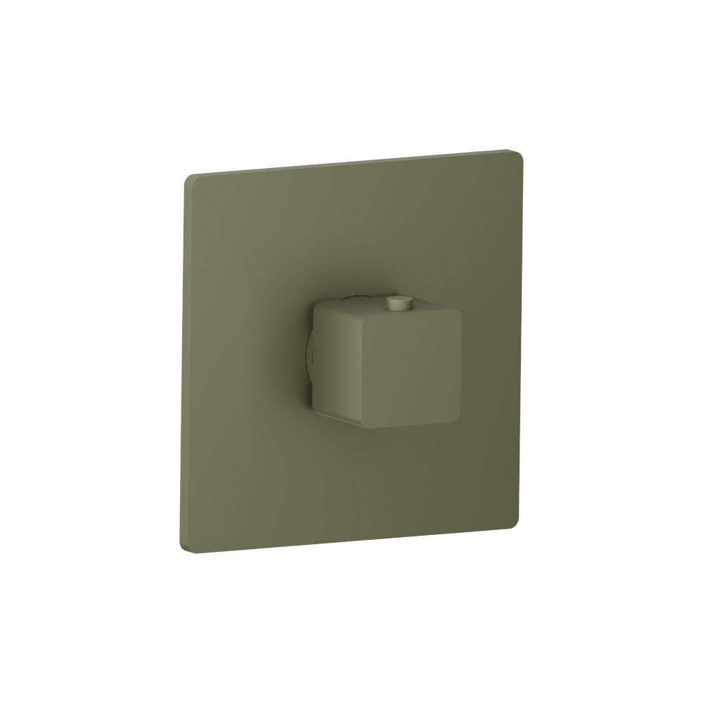 Flusso Serie 196 196.4201 3/4" Thermostatic Valve With Trim - Parent