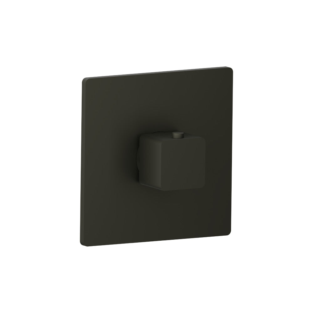 Flusso Serie 196 196.4201 3/4" Thermostatic Valve With Trim