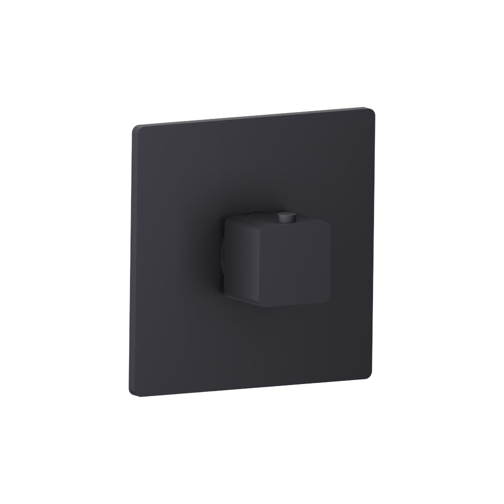 Flusso Serie 196 196.4201 3/4" Thermostatic Valve With Trim