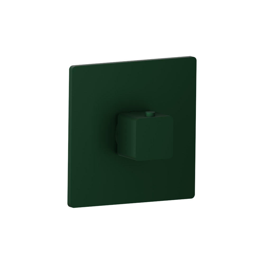 Flusso Serie 196 196.4201 3/4" Thermostatic Valve With Trim