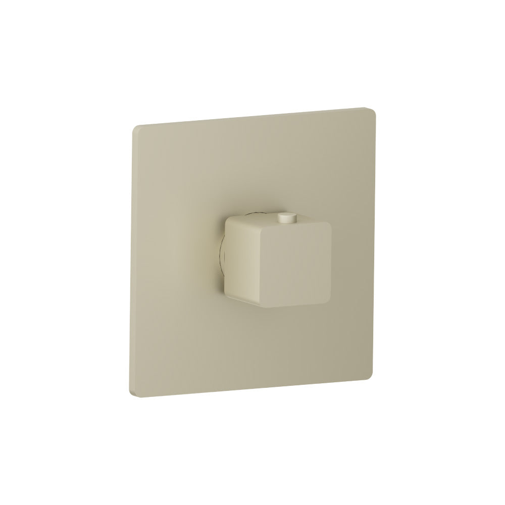 Flusso Serie 196 196.4201 3/4" Thermostatic Valve With Trim