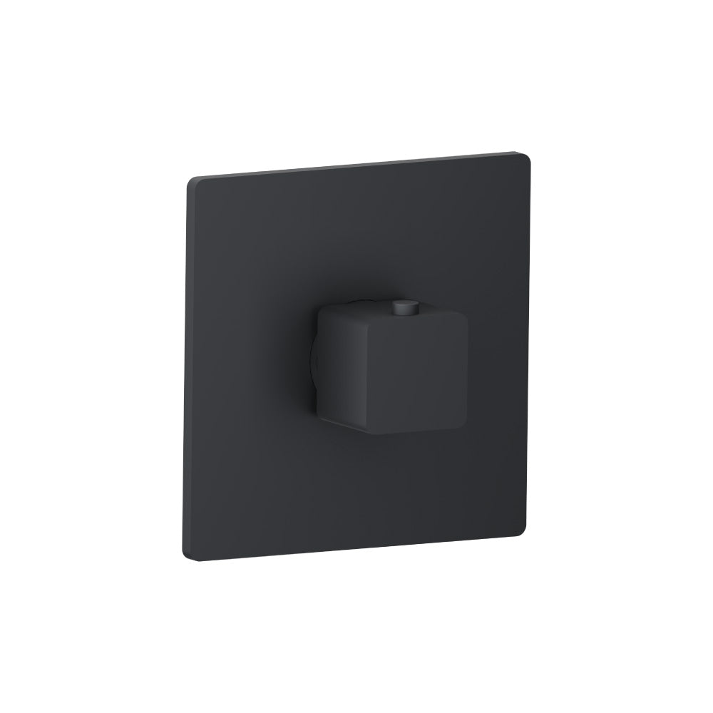 Flusso Serie 196 196.4201 3/4" Thermostatic Valve With Trim
