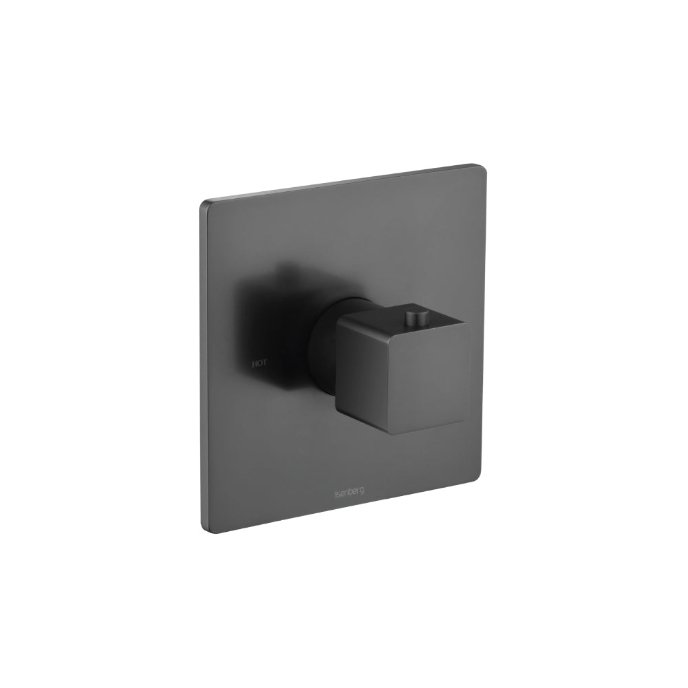 Flusso Serie 196 196.4201T Trim For 3/4" Thermostatic Valve - Use with TVH.4201