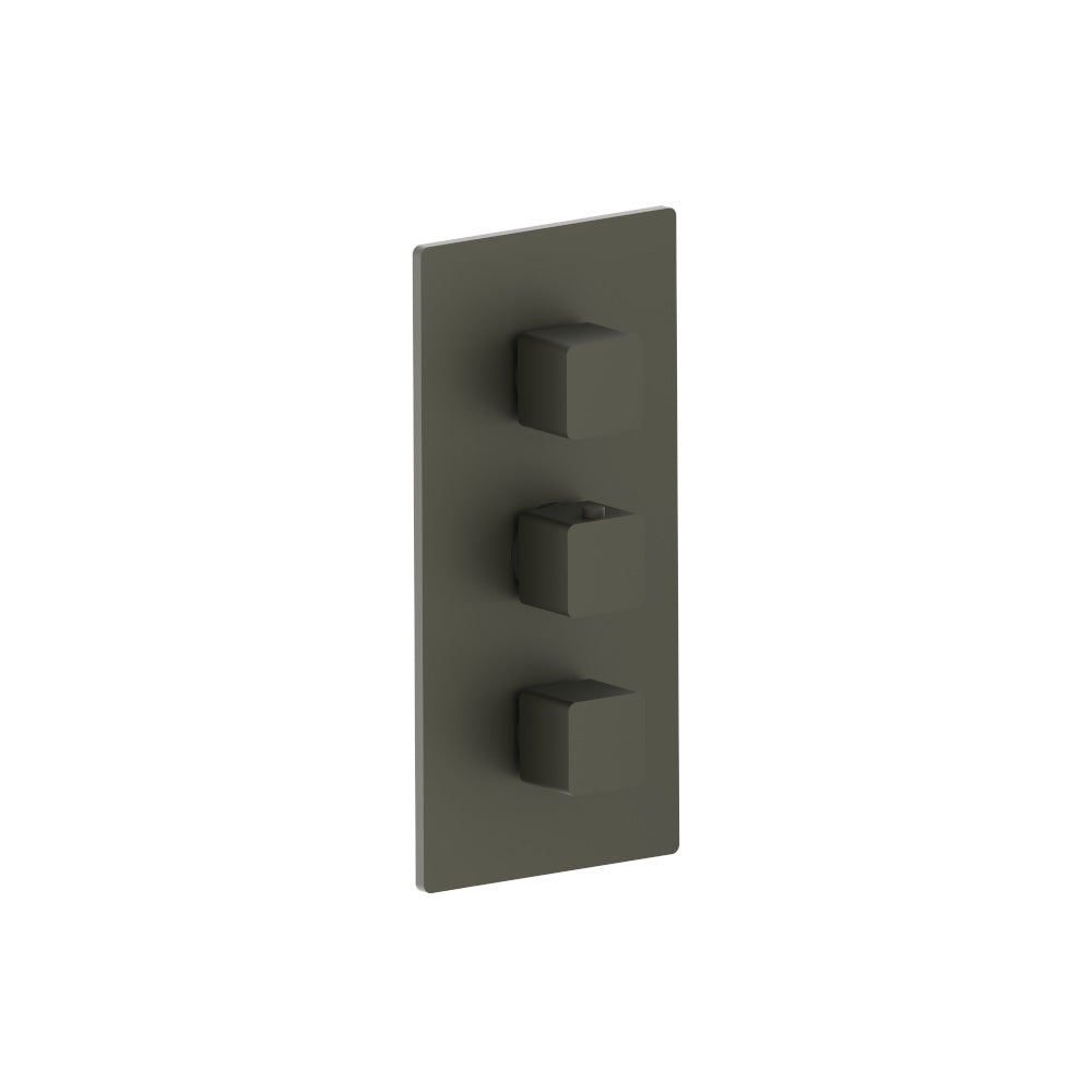 Flusso Serie 196 196.4401 3/4" Thermostatic Valve and Trim - 2 Outputs