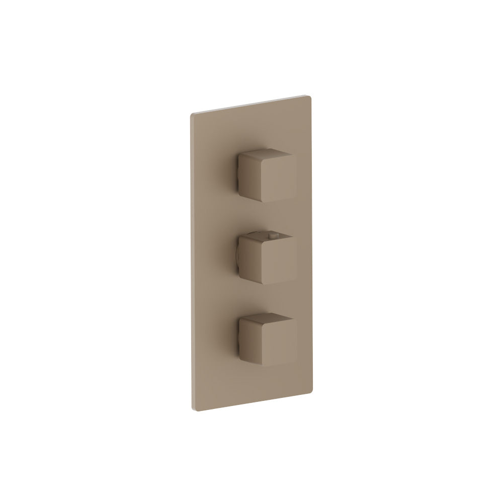 Flusso Serie 196 196.4401 3/4" Thermostatic Valve and Trim - 2 Outputs