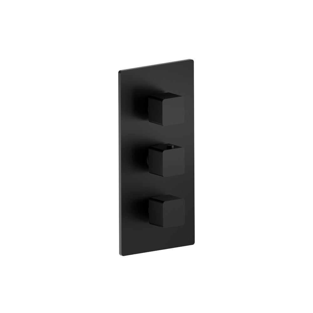 Flusso Serie 196 196.4401 3/4" Thermostatic Valve and Trim - 2 Outputs