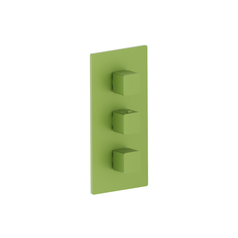 Flusso Serie 196 196.4401 3/4" Thermostatic Valve and Trim - 2 Outputs
