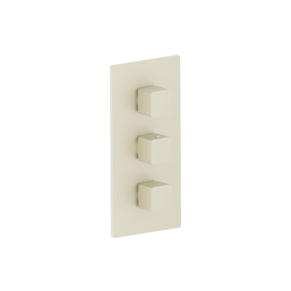 Flusso Serie 196 196.4401 3/4" Thermostatic Valve and Trim - 2 Outputs