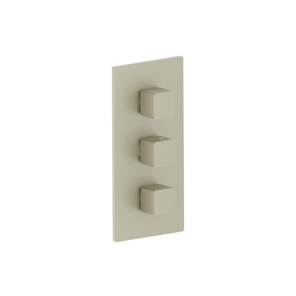 Flusso Serie 196 196.4401 3/4" Thermostatic Valve and Trim - 2 Outputs
