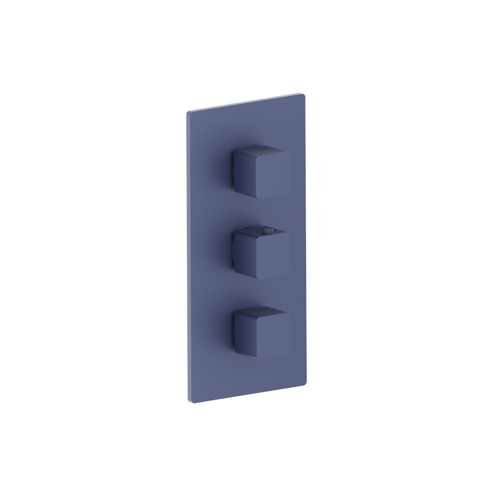 Flusso Serie 196 196.4401 3/4" Thermostatic Valve and Trim - 2 Outputs