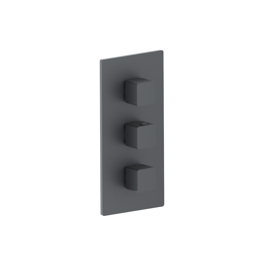 Flusso Serie 196 196.4401 3/4" Thermostatic Valve and Trim - 2 Outputs