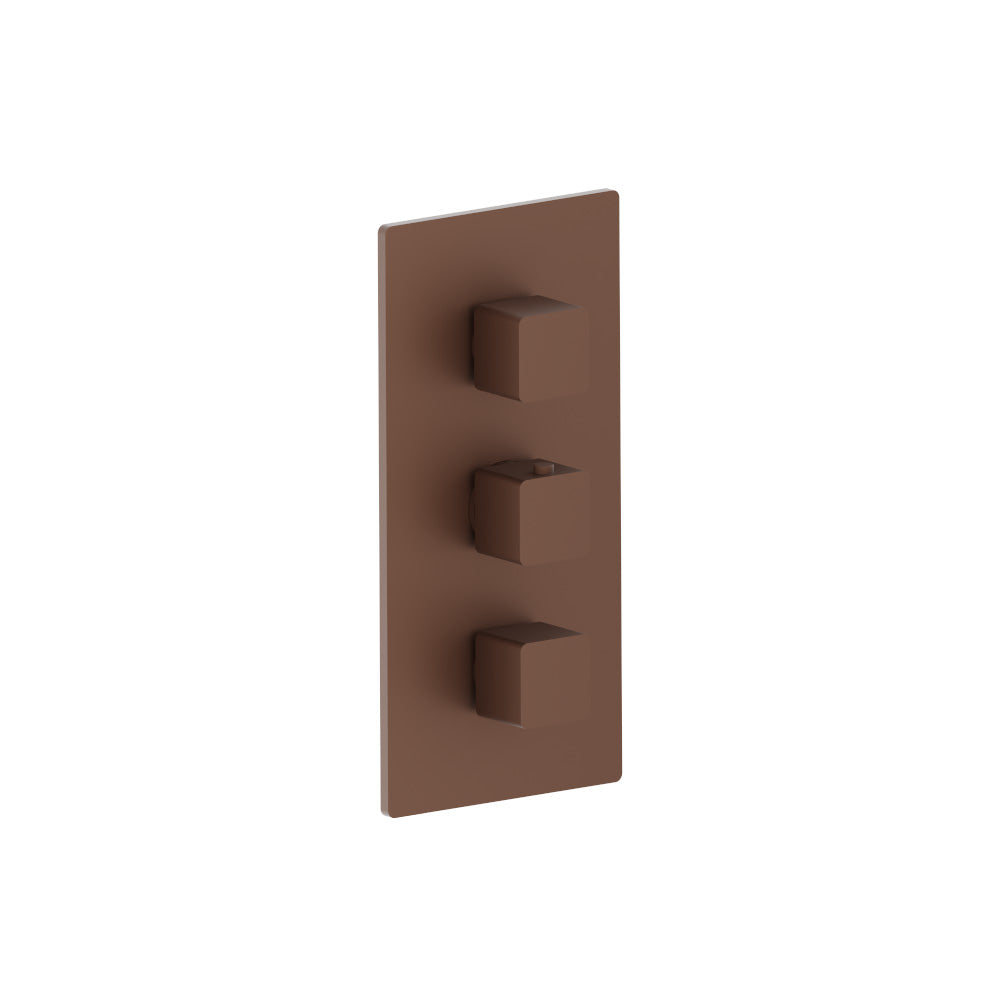 Flusso Serie 196 196.4401 3/4" Thermostatic Valve and Trim - 2 Outputs