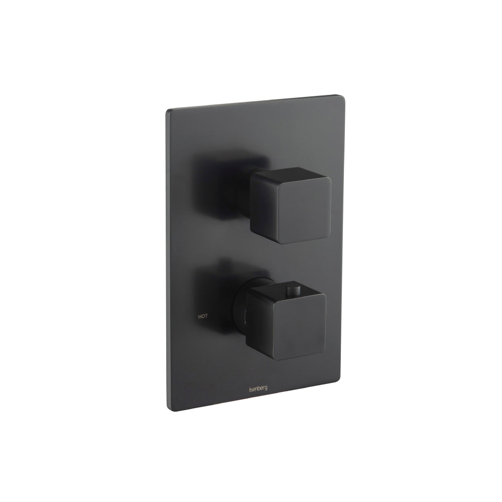 Flusso Serie 196 196.4421 3/4 " Thermostatic Valve & Trim - With 2-Way Diverter - 2 Output
