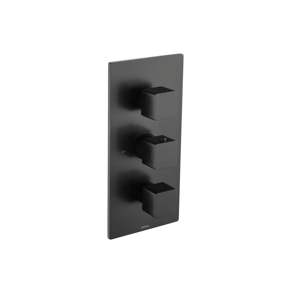 Flusso Serie 196 196.4501 3/4" Thermostatic Valve With Trim - 3 Output