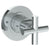 Watermark 23-T15-L9 Loft 2.0 Wall Mounted Mini Thermostatic Shower Trim 3-1/2" Diameter