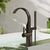 Dornbracht 25863811 Cyo Single-Lever Tub Mixer With Stand Pipe For Freestanding Installation With Hand Shower Set