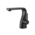 Flusso Serie 260 260.1000 Single Hole Bathroom Faucet