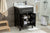 Laviva 313YG319-24E Wimbledon 24" Bathroom Vanity with Countertop