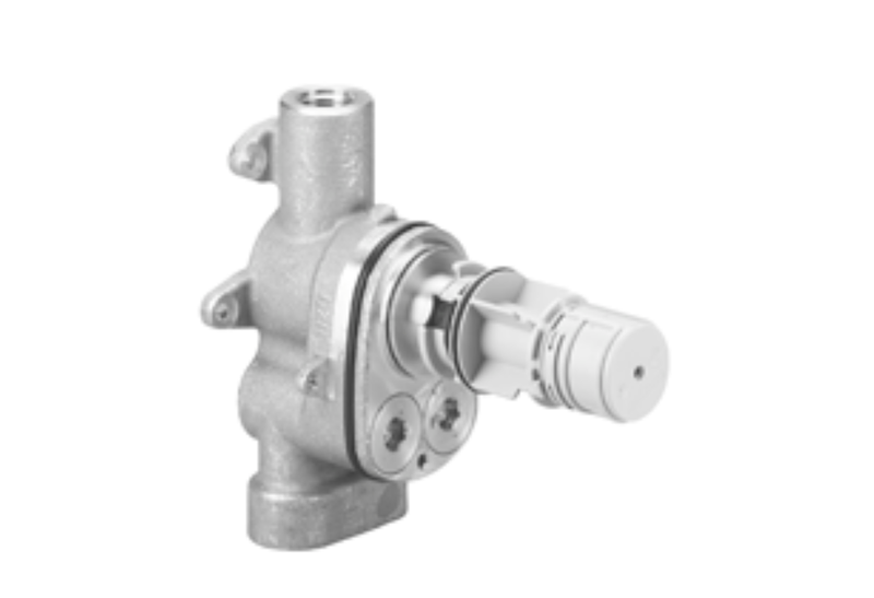 Dornbracht 35517970-900010 Xtool Concealed Thermostat Rough
