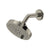 Riobel 386 5" 6-Function Showerhead With Arm