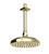 Rubinet 4F224 8 Shower Head With Ceiling Mount 8 Shower Arm Flange