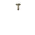 Riobel 569 3" Ceiling Mount Shower Arm