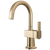Brizo 61322LF-C Frank Lloyd Wright Beverage Faucet with Arc Spout