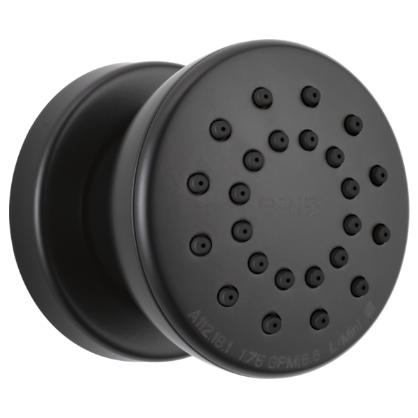 Brizo 84110 Essential Shower Touch-Clean Round Body Spray - Parent