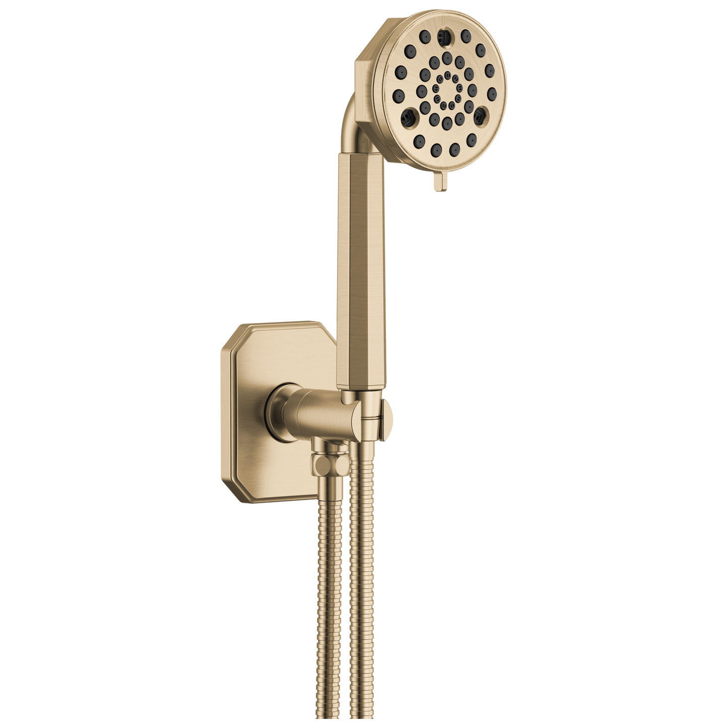Brizo 88865 Beauclere Multi-Function Wall Mount Hand Shower