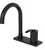 Rubinet 8OLAL Single Control Bar Faucet - Parent