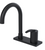 Rubinet 8OLAL Single Control Bar Faucet