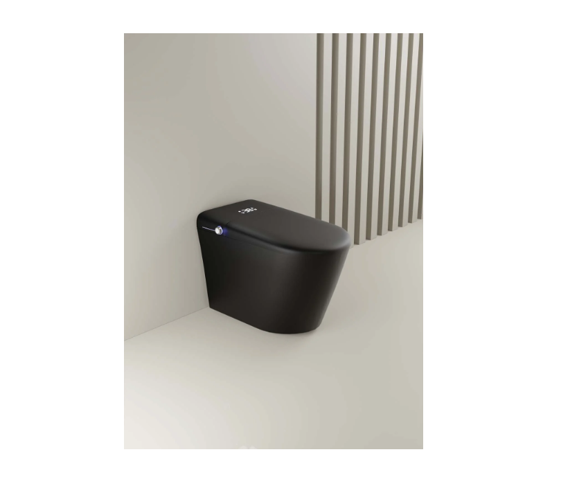 Trone 93526 Floor Mount Smart Bidet Toilet