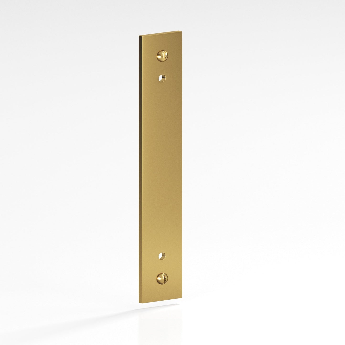 Colonial Bronze Flat Back Plate with Decorative Screws