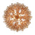 Crystorama ADD-316-AG-AM Addis 16 Light Chandelier - Aged Brass