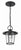 Crystorama AND-9203-CL-MK Andover 1 Light Outdoor Chandelier - Matte Black