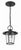 Crystorama AND-9203-CL-MK Andover 1 Light Outdoor Chandelier - Matte Black