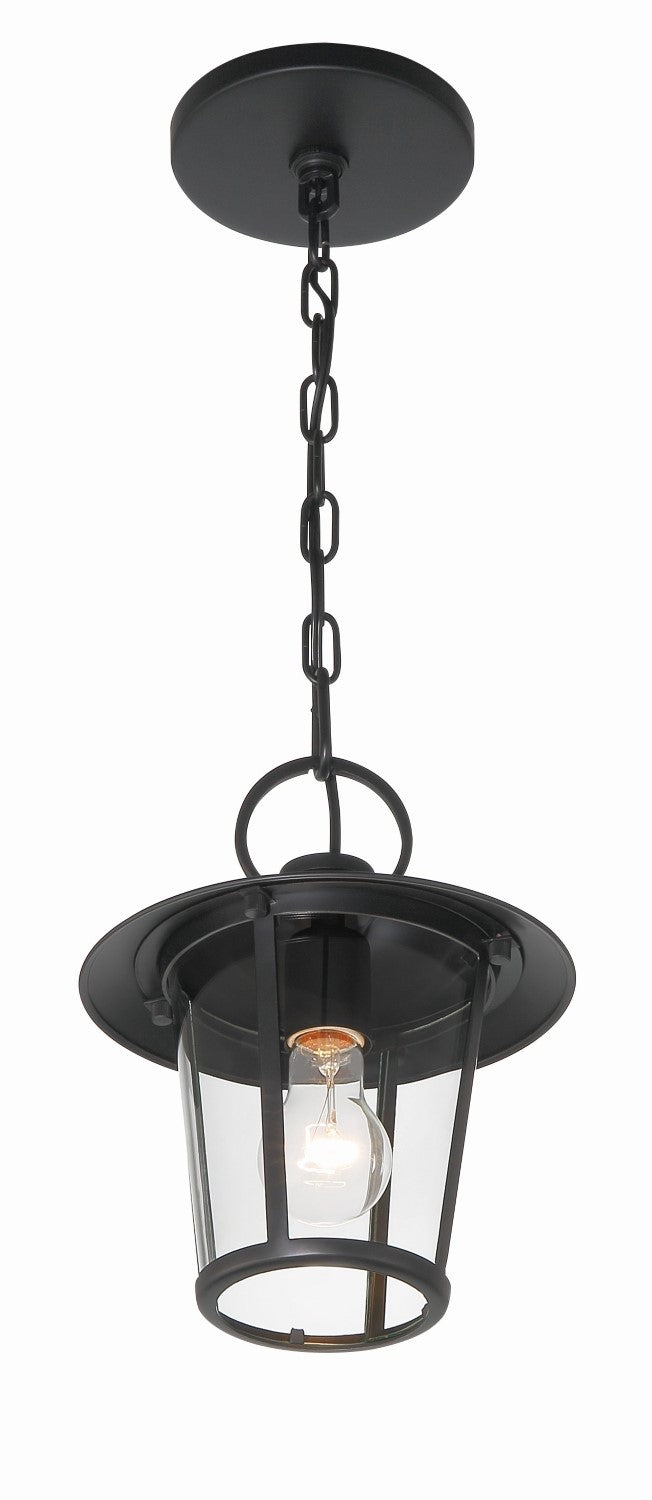 Crystorama AND-9203-CL-MK Andover 1 Light Outdoor Chandelier - Matte Black