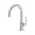 Riobel AUS01 Authentica Single Handle Lavatory Faucet