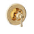 BARiL T72-9404-00 Trim Only For 3/4" Thermostatic Valve