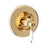 BARiL T74-9404-00 Trim Only For 3/4 Thermostatic Valve
